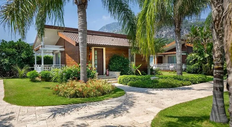 Zunanji pogled na moderne bungalove Cirali Hera v zelenem vrtu