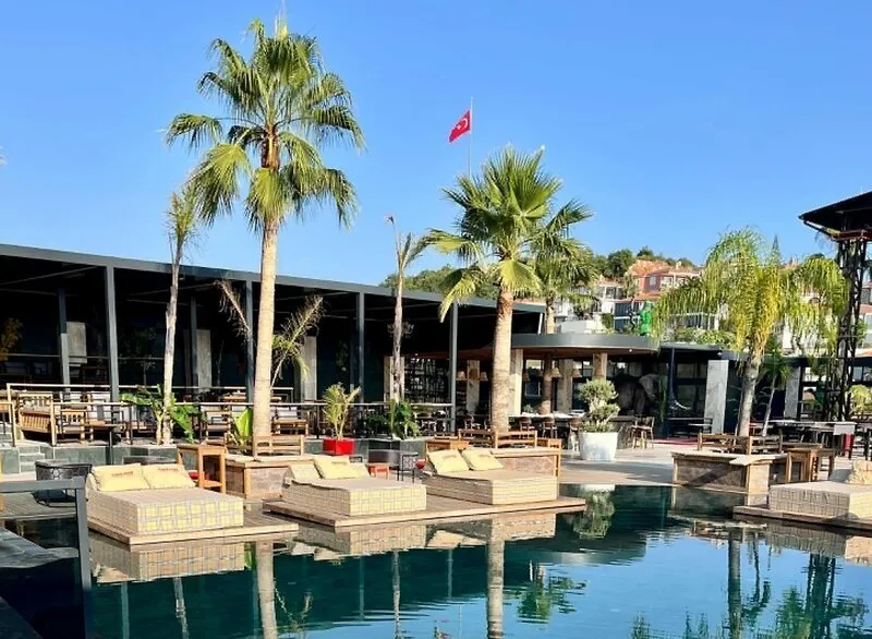 Moderen zunanji bazen z luksuznimi ležalniki in palmami