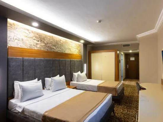 Sodobna hotelska soba z zakonsko posteljo in pomožnim ležiščem